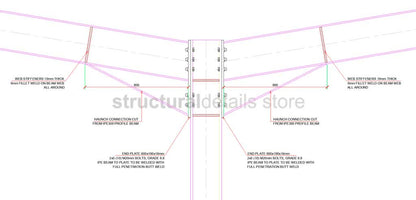 Double Span Hangar Portal Frame Elevation View