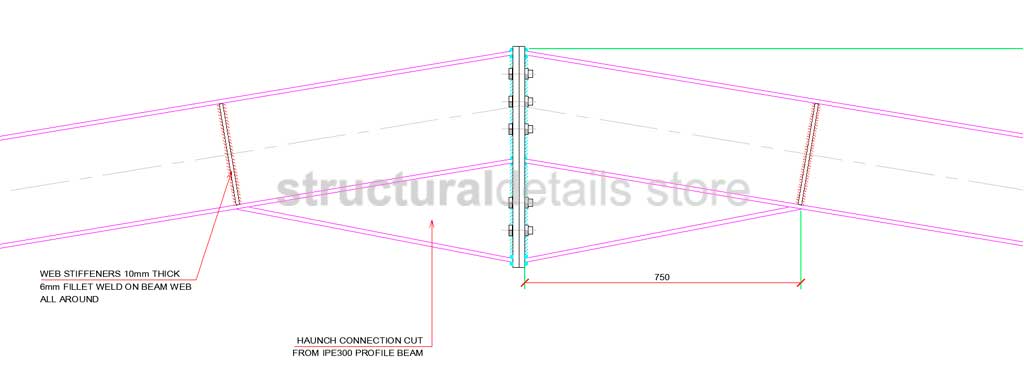 Double Span Hangar Portal Frame Elevation View