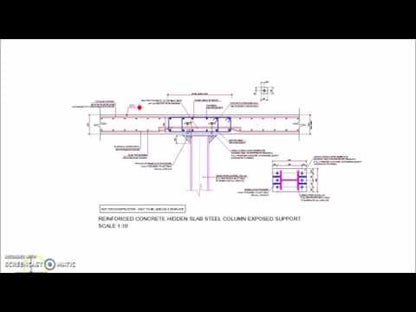 Reinforced Concrete Hidden Slab Beam Steel Column Exposed Support