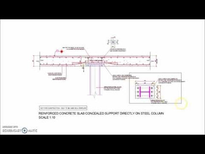 Reinforced Concrete Flat Slab Direct Steel Column Concealed Support